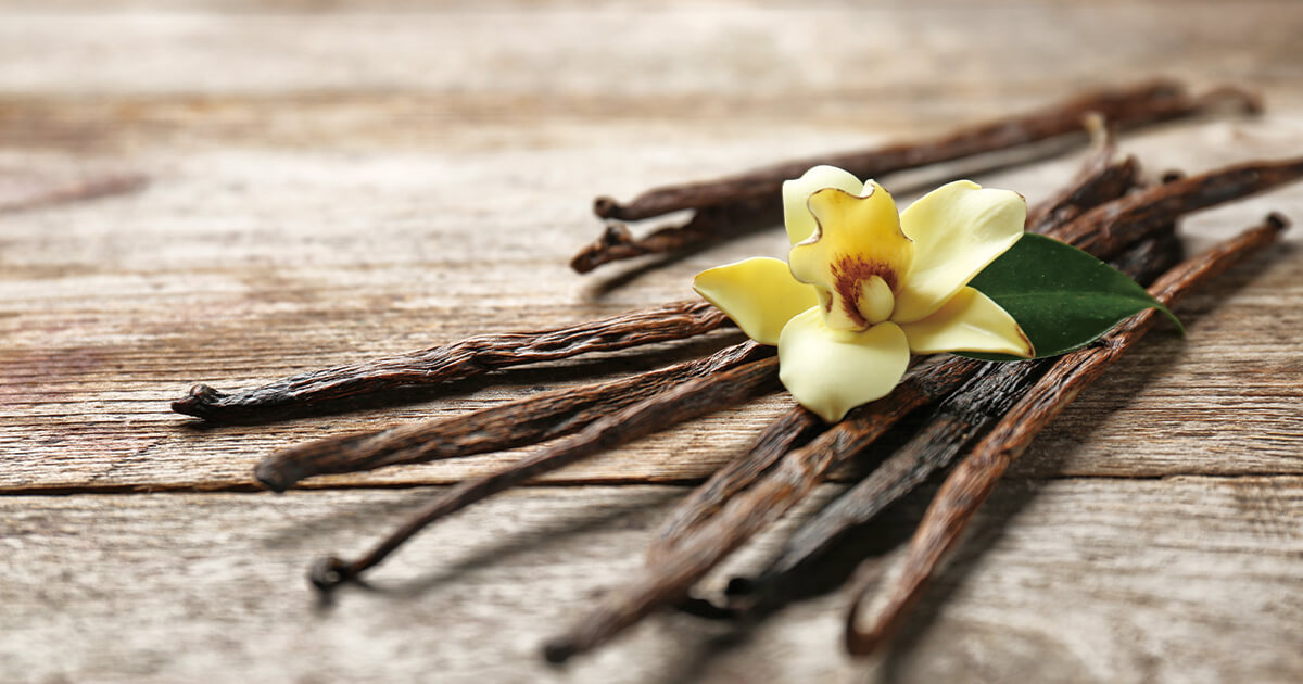 How to Make Vanilla Infused Jojoba | Aromahead Blog
